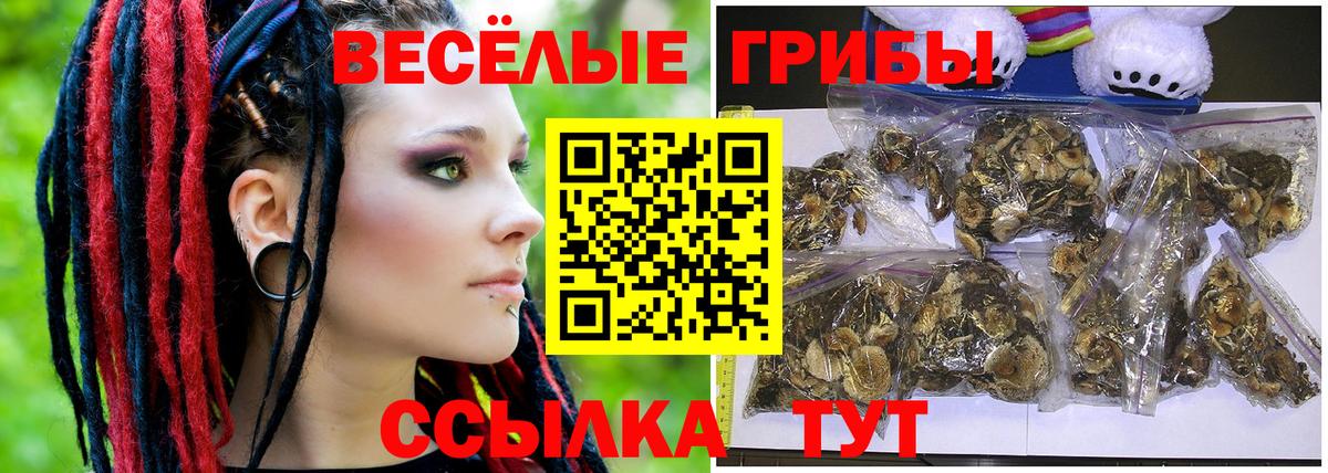 Вологда  Псилоцибиновые грибы GOLDEN TEACHER  Вход с VPN  Галлюциногенные грибы мицелий 