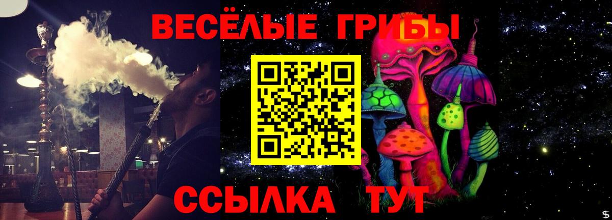 Галлюциногенные грибы ЛСД Вологда